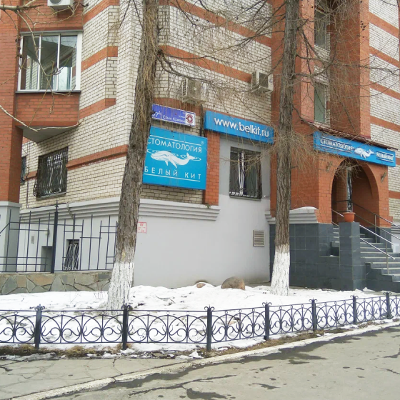 Стоматология Белый Кит на Сони Кривой
